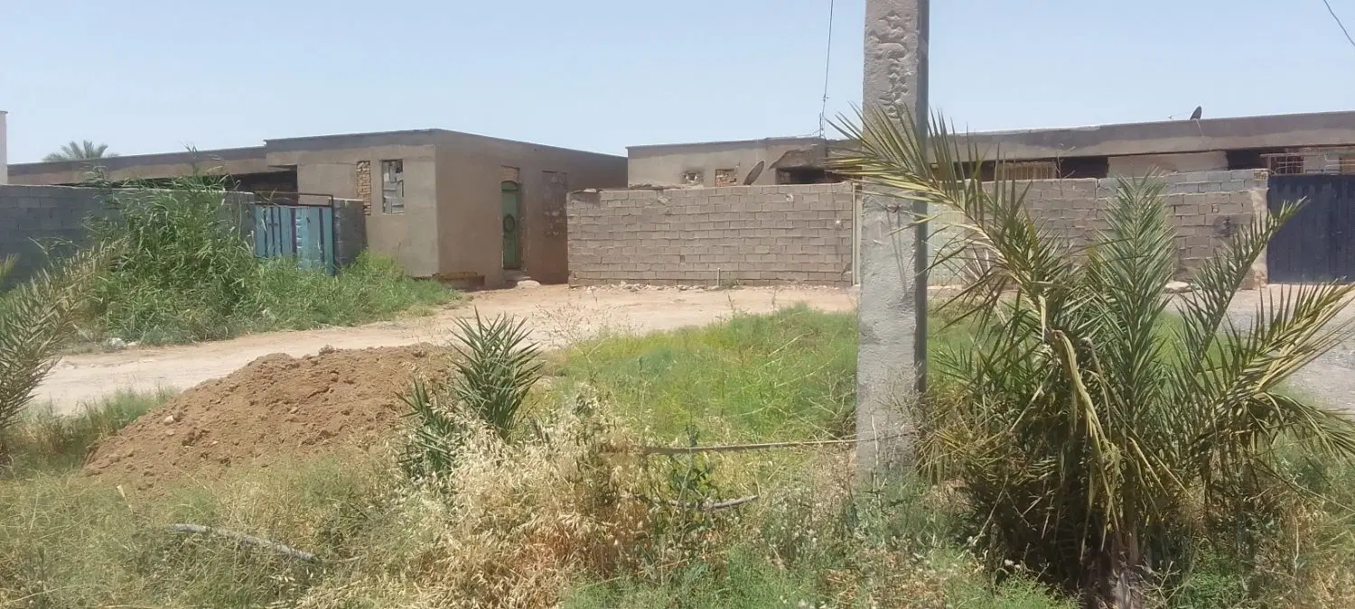 زمین