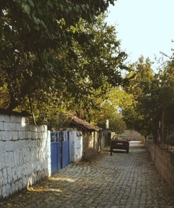 زمین بلوار ساحلی