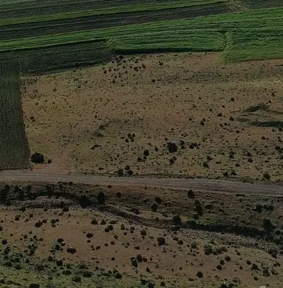 زمین کشاورزی دیم روستای ده حسنالی