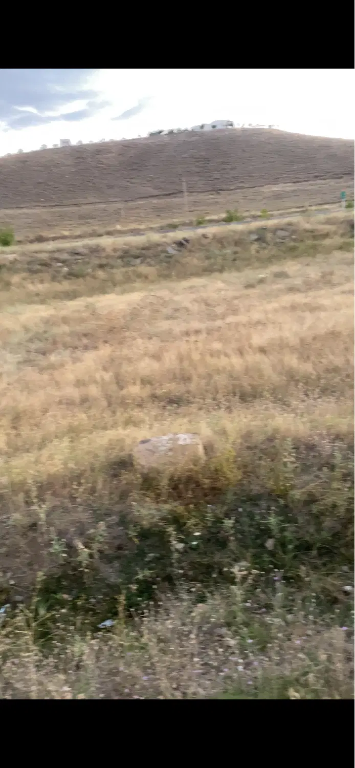 زمین کشاورزی با سند تک برگ