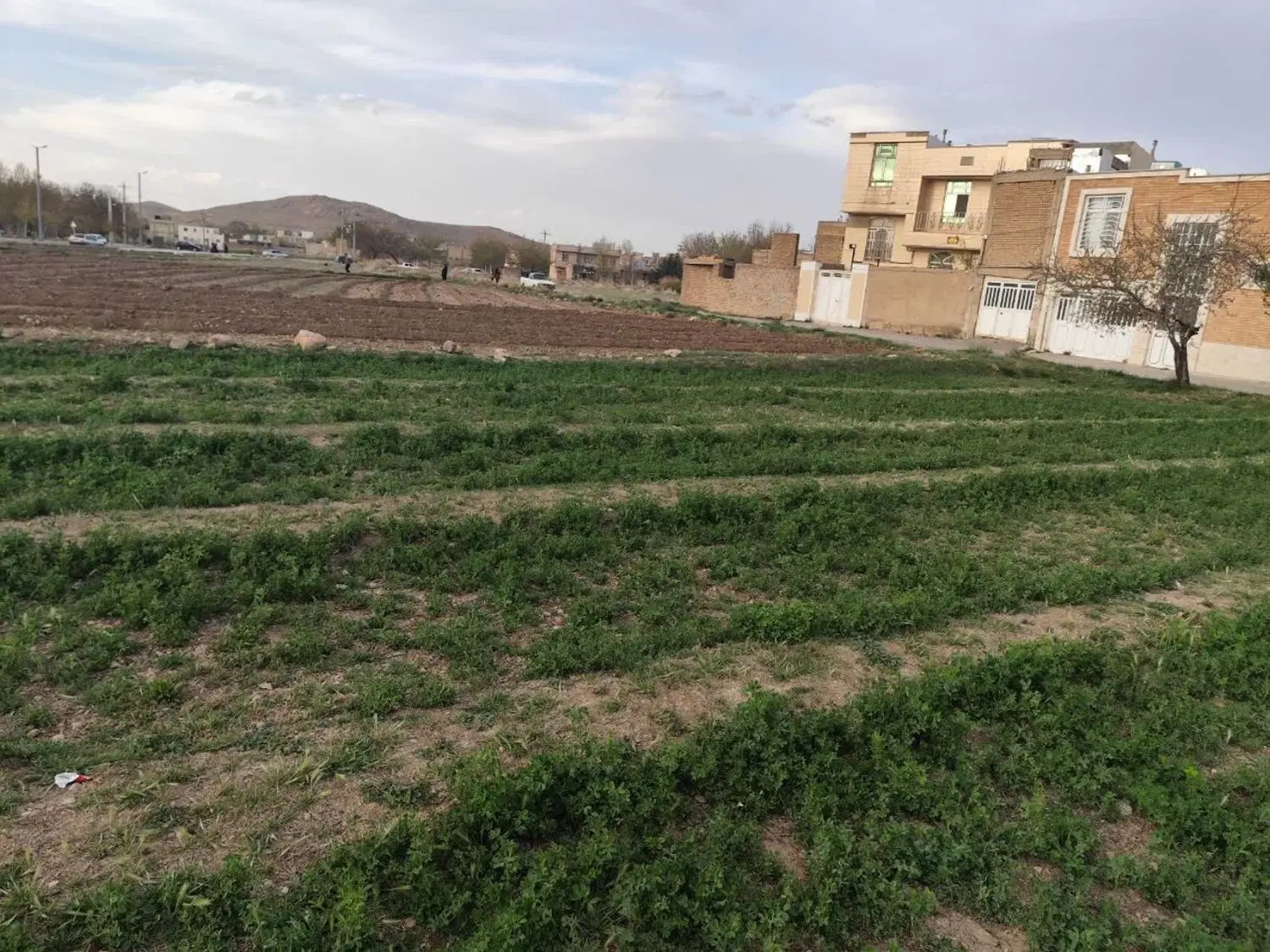 فروش زمین کشاورزی اقلید