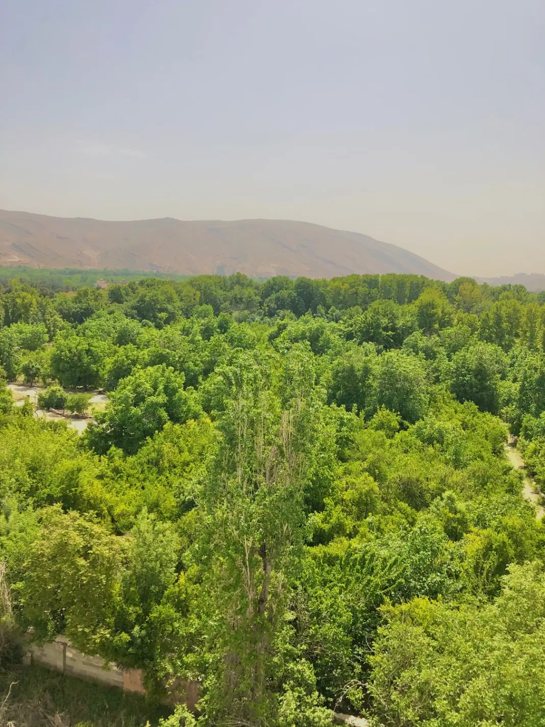 سه خواب معالی آباد ۲۰۶ متری