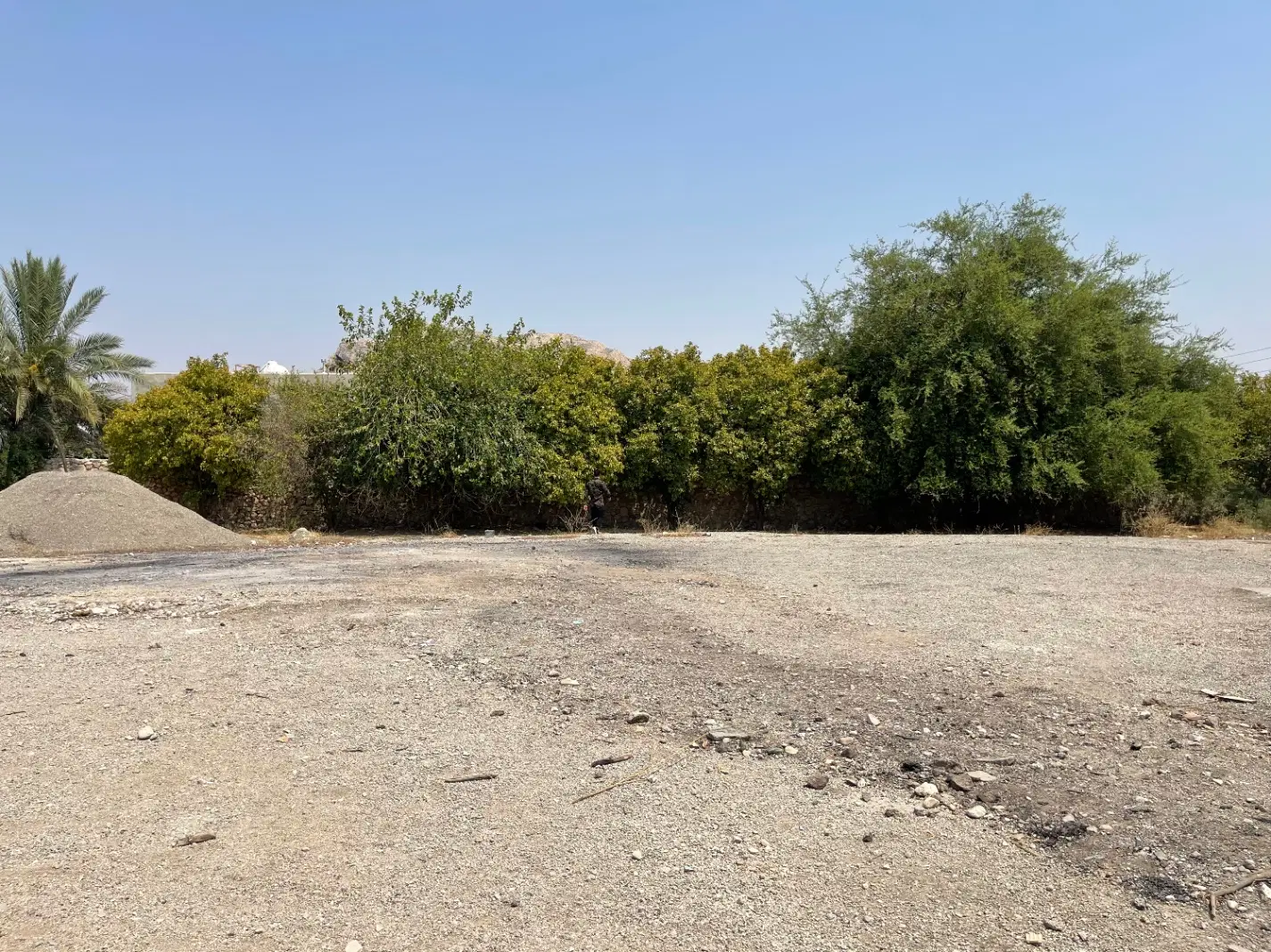 فروش زمین باغی
