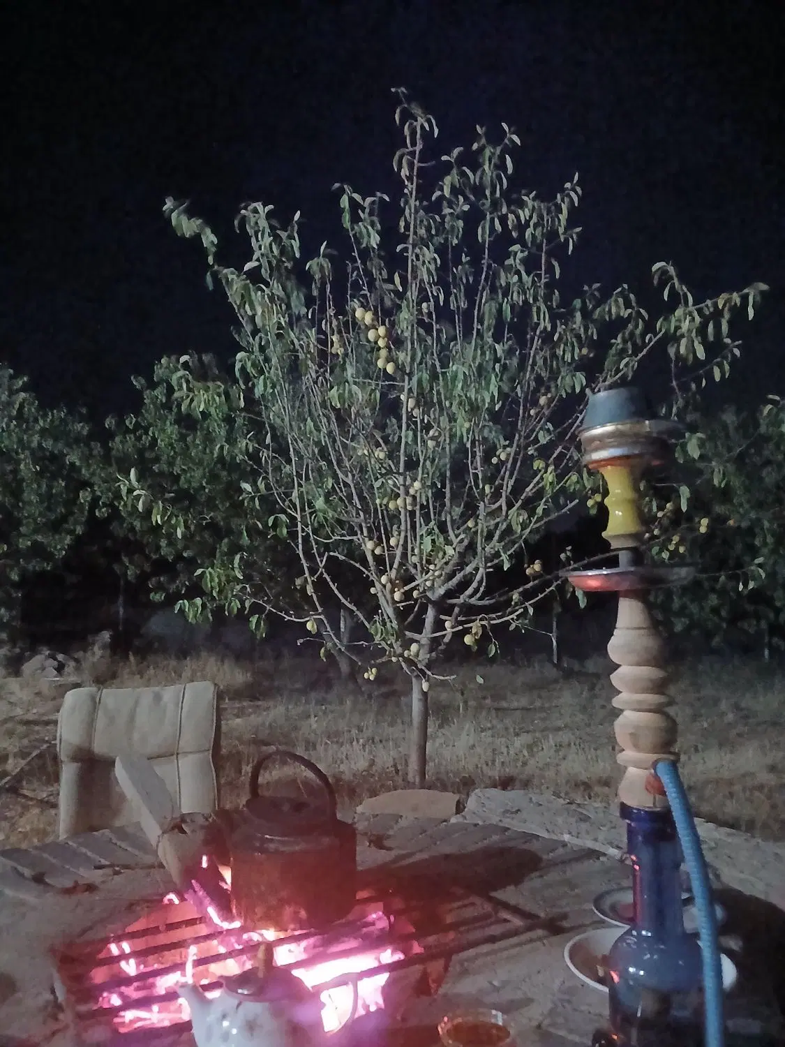 فروش باغ درجاده بیجار
