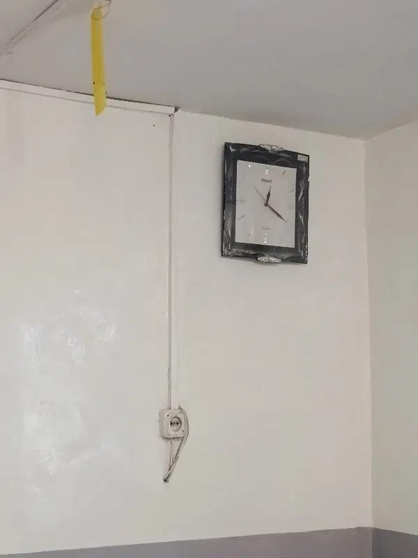 همخونه هم خانه