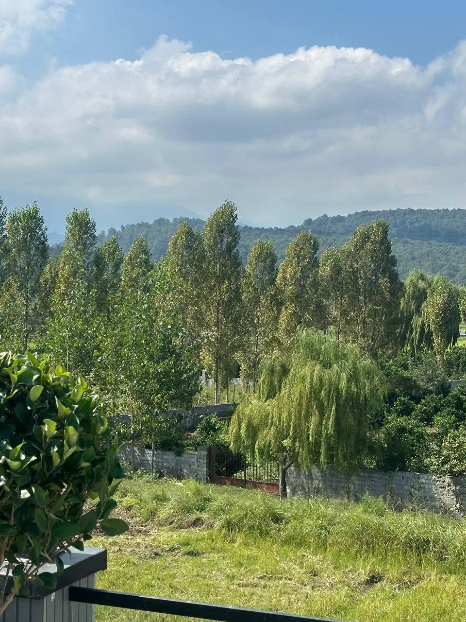 زمین۳۰۰مترباجوازساخت%چهاردیواری شده%ویوابدی جنگل