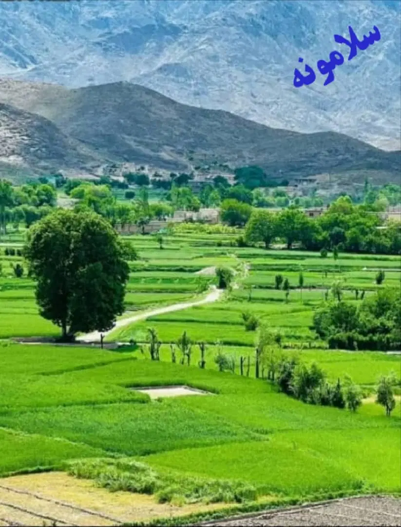 زمین در همت اباد کنار مسجد الخلیل