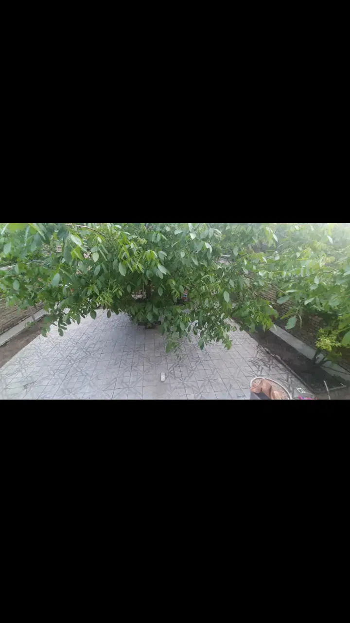 ویلایی  دوطبقه جنوبی