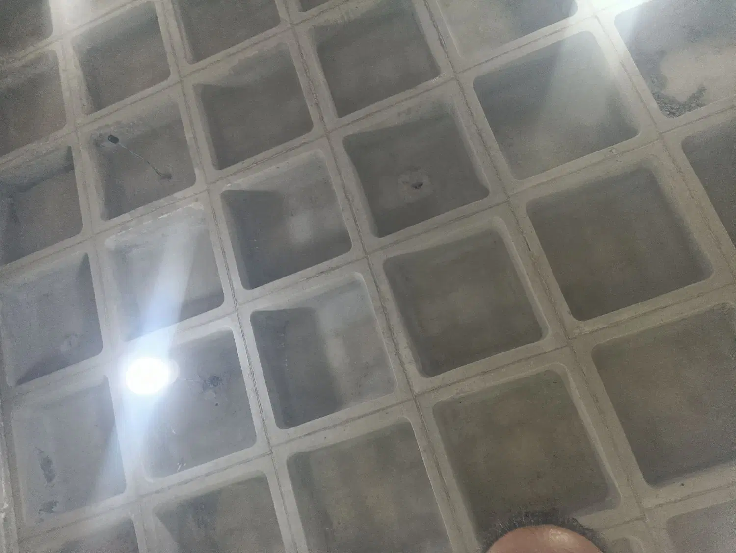 هم خونه