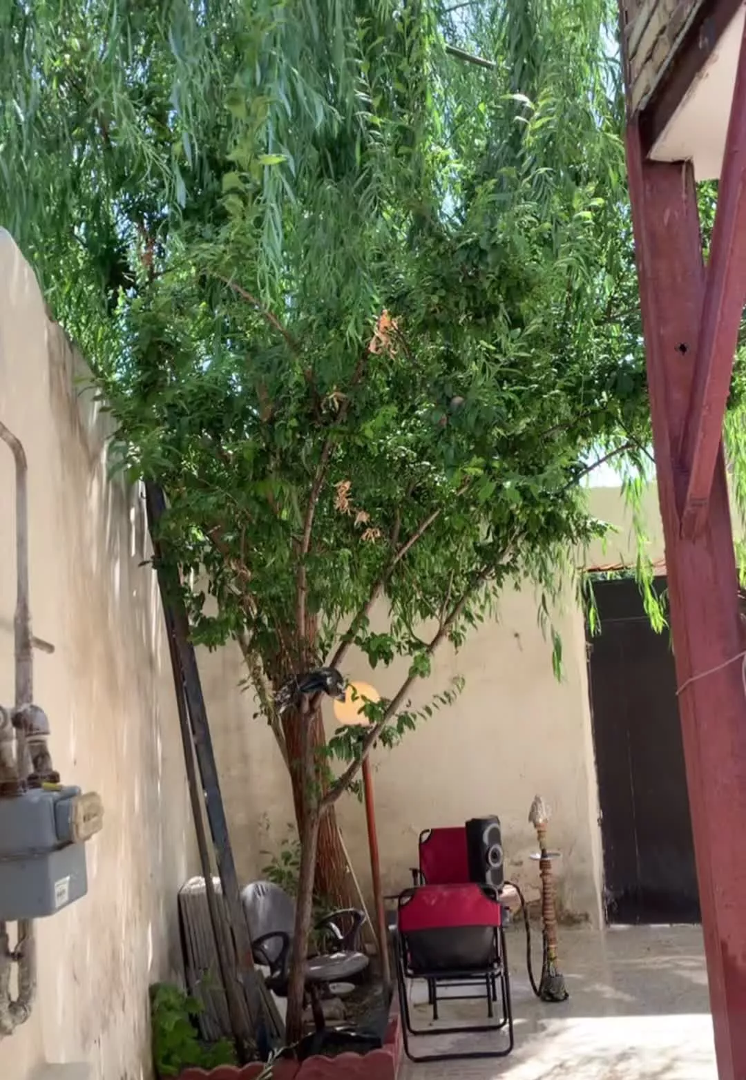 اجاره سویت ویلایی ساعتی روزانه قیمت خوب طبقه بالا