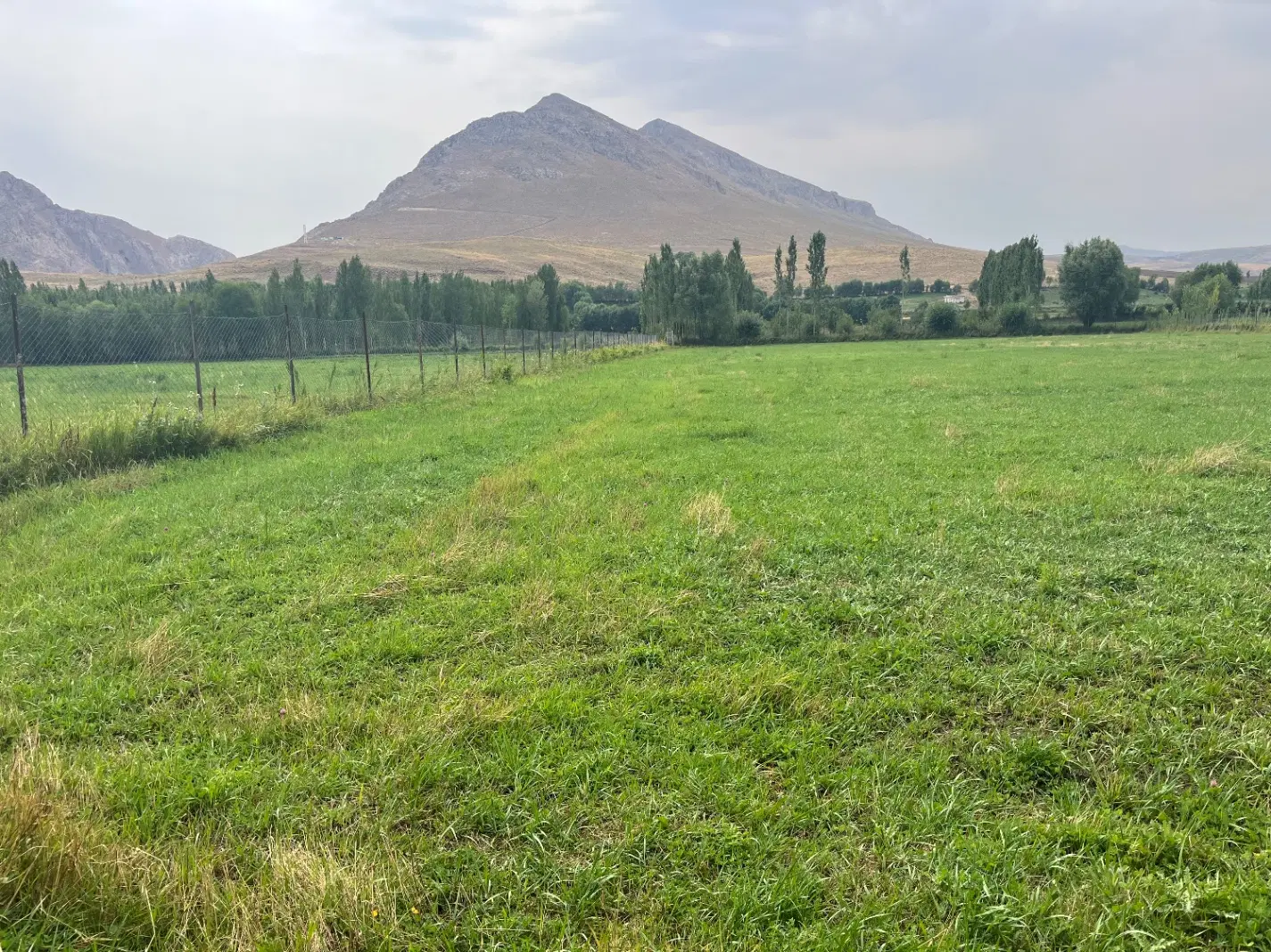 زمین باغی سند دار در خلخال