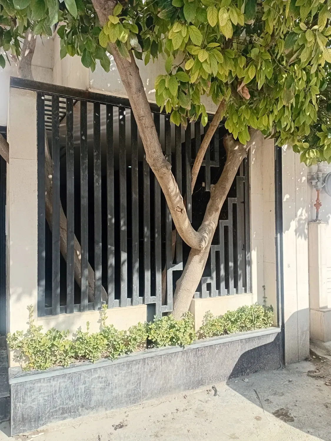 اجاره دربستی شهابی. کوچه ملازاده.