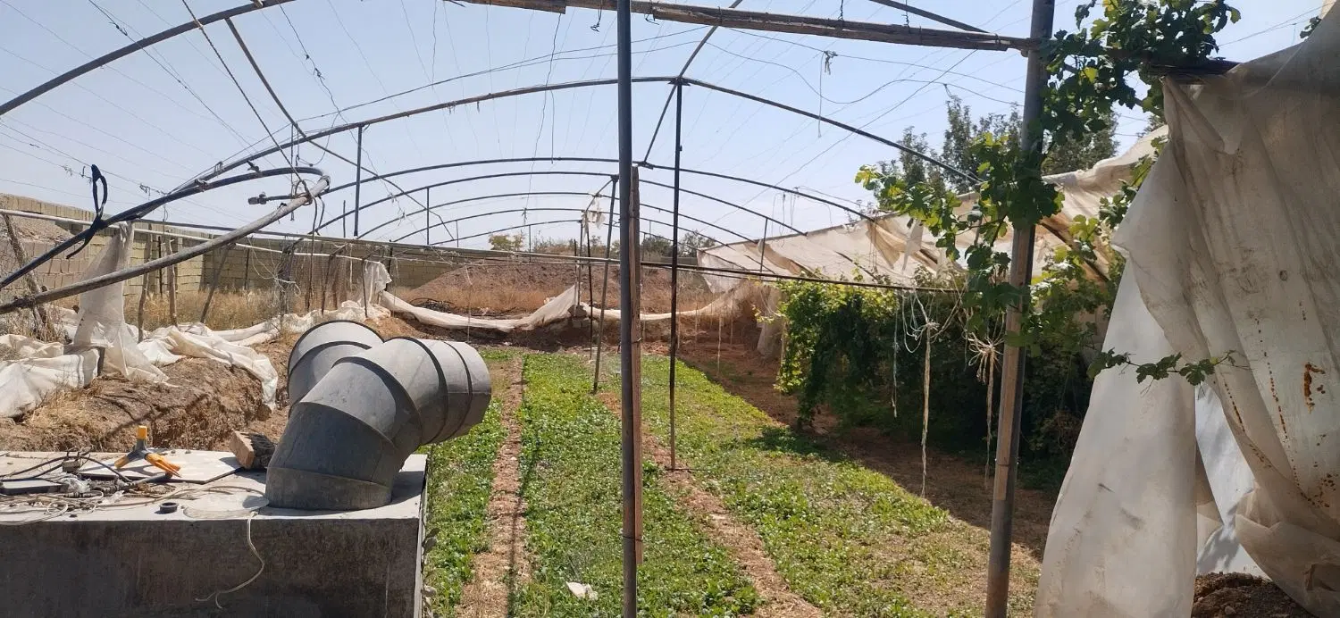 اسکلت گلخانه گالوانیزه