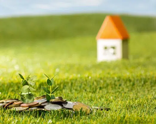 فروش زمین خالی