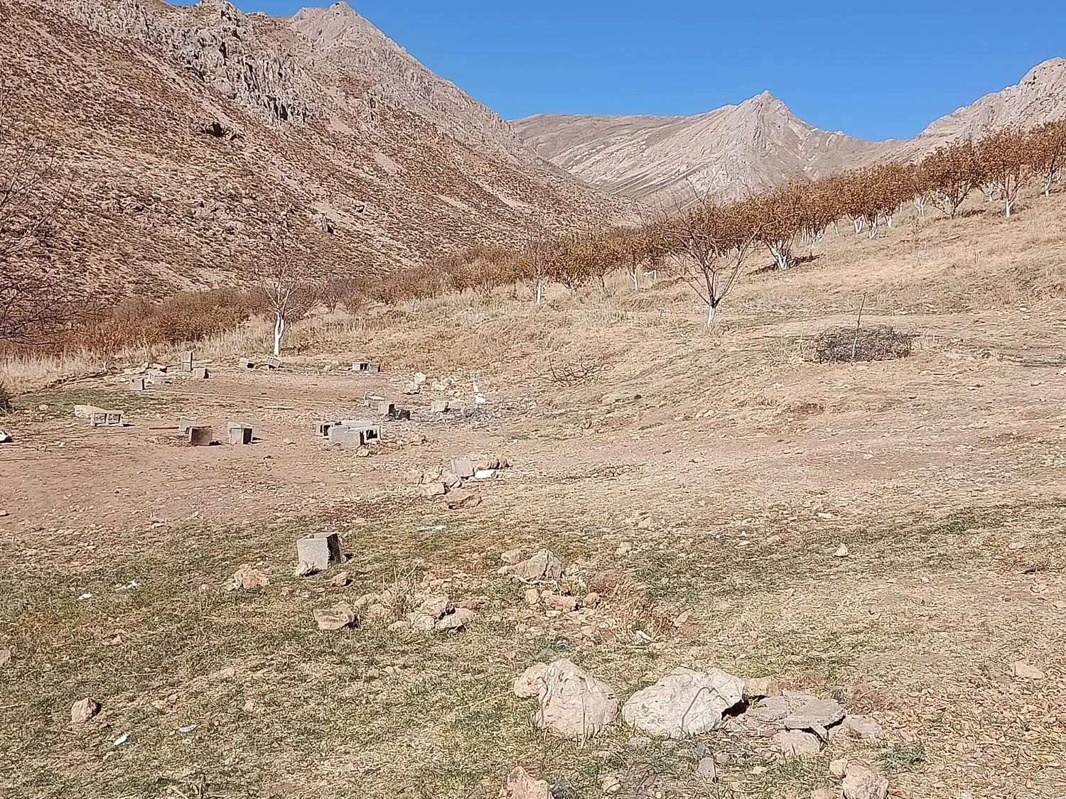 فروش زمین در منطقه کاکان