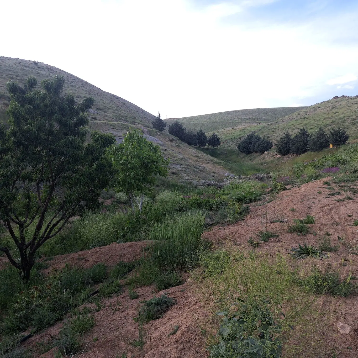 منطقه شهرک ویلایی دربند بالای روستای شفیع اباد