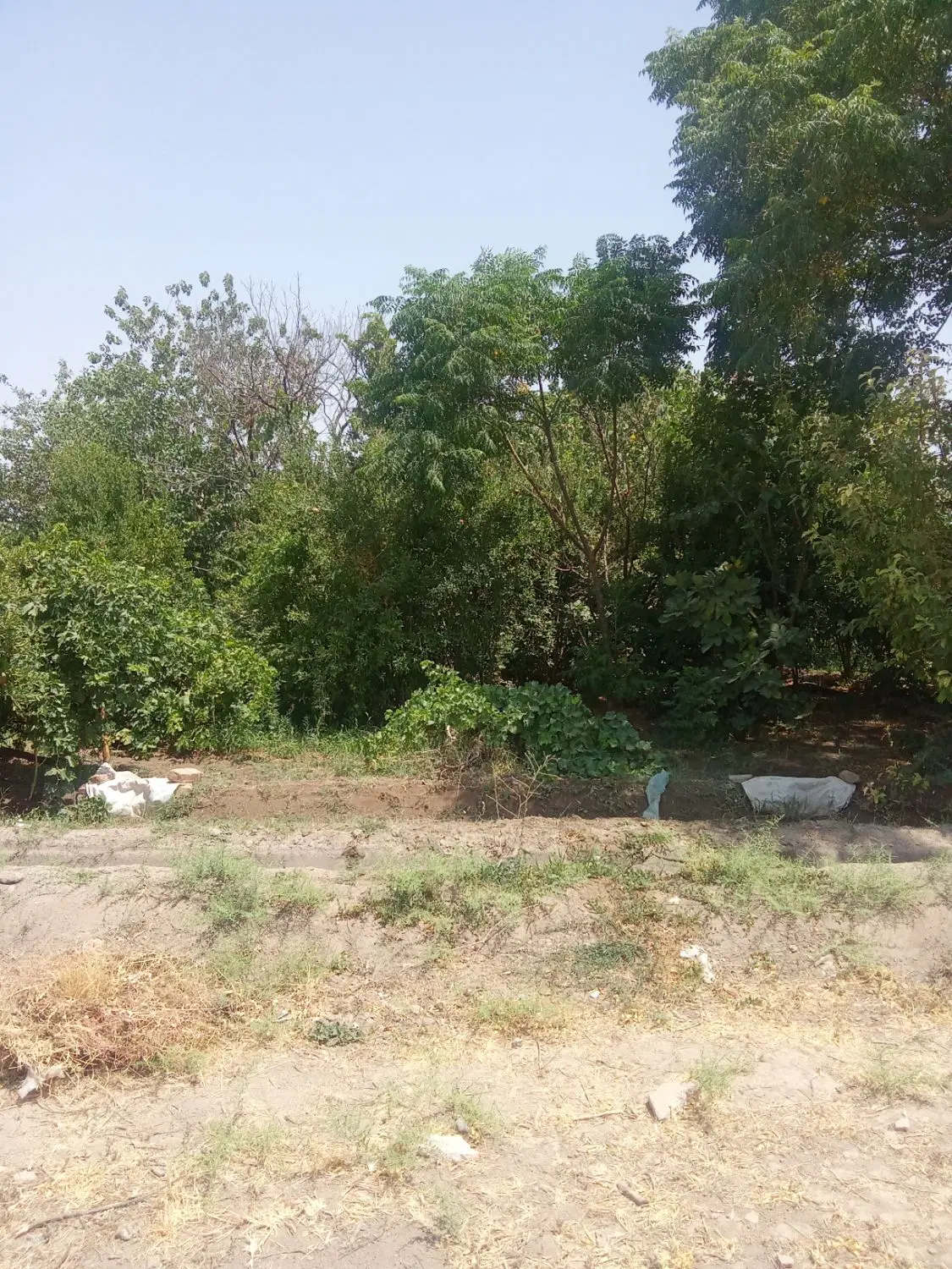 زمین فروشی