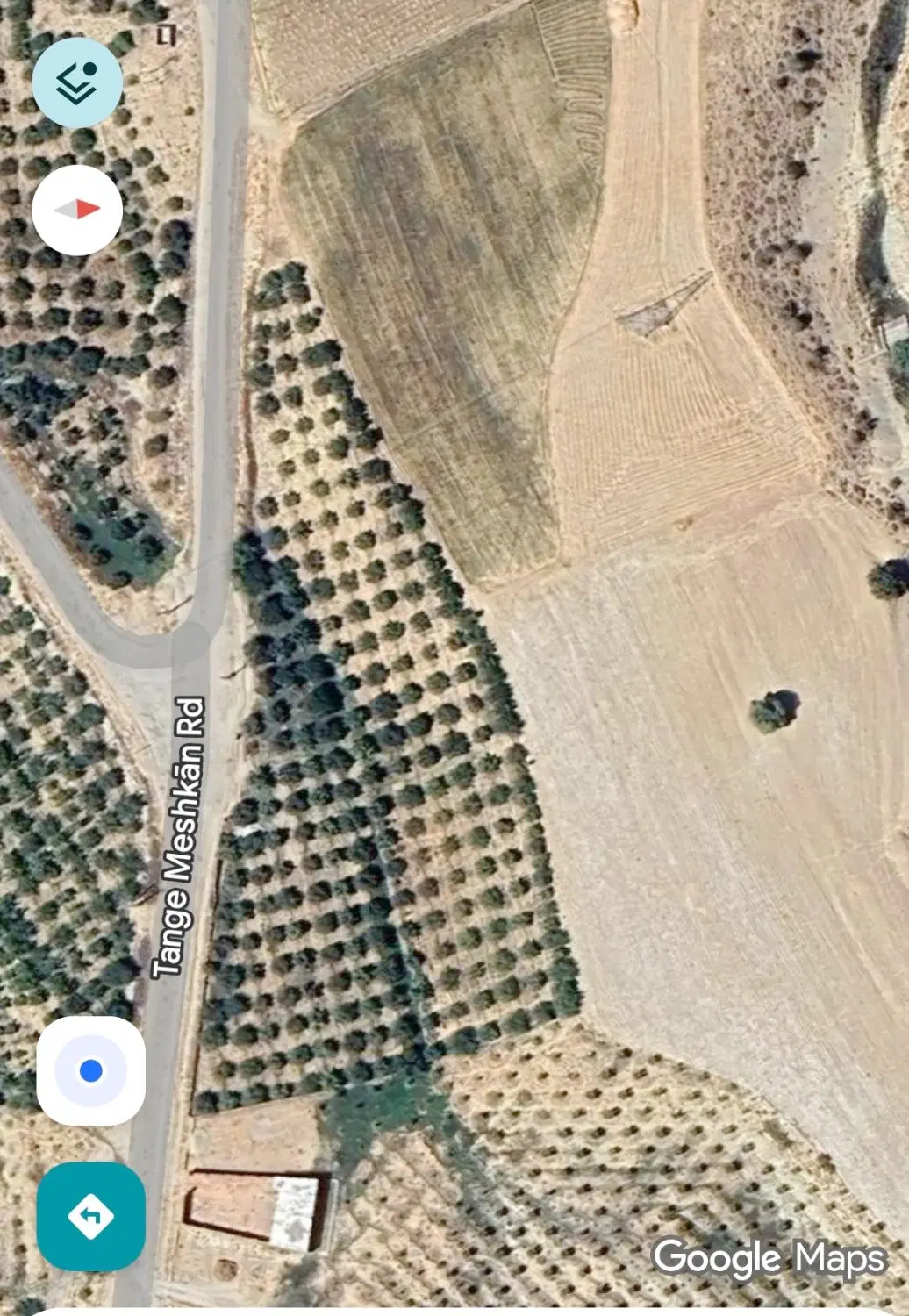 باغ سیب تنگ سرخ