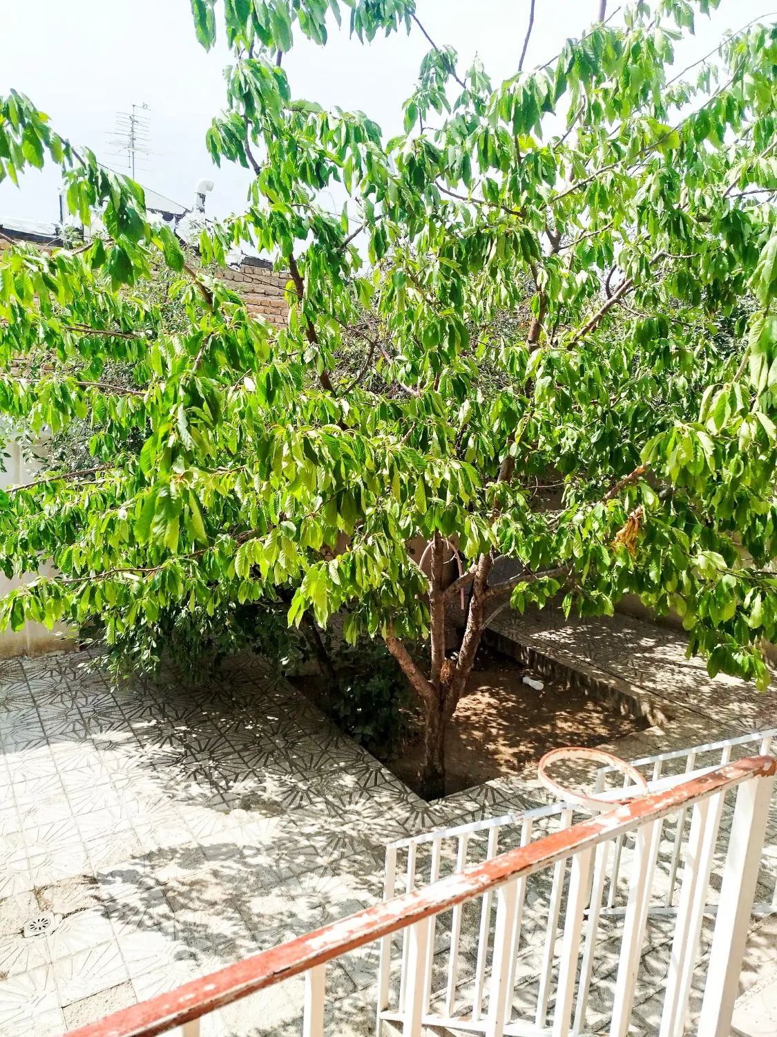 خانه ویلایی