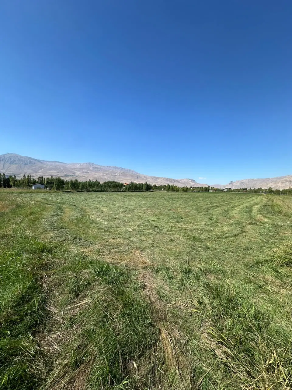 زمین خالی کشمش تپه