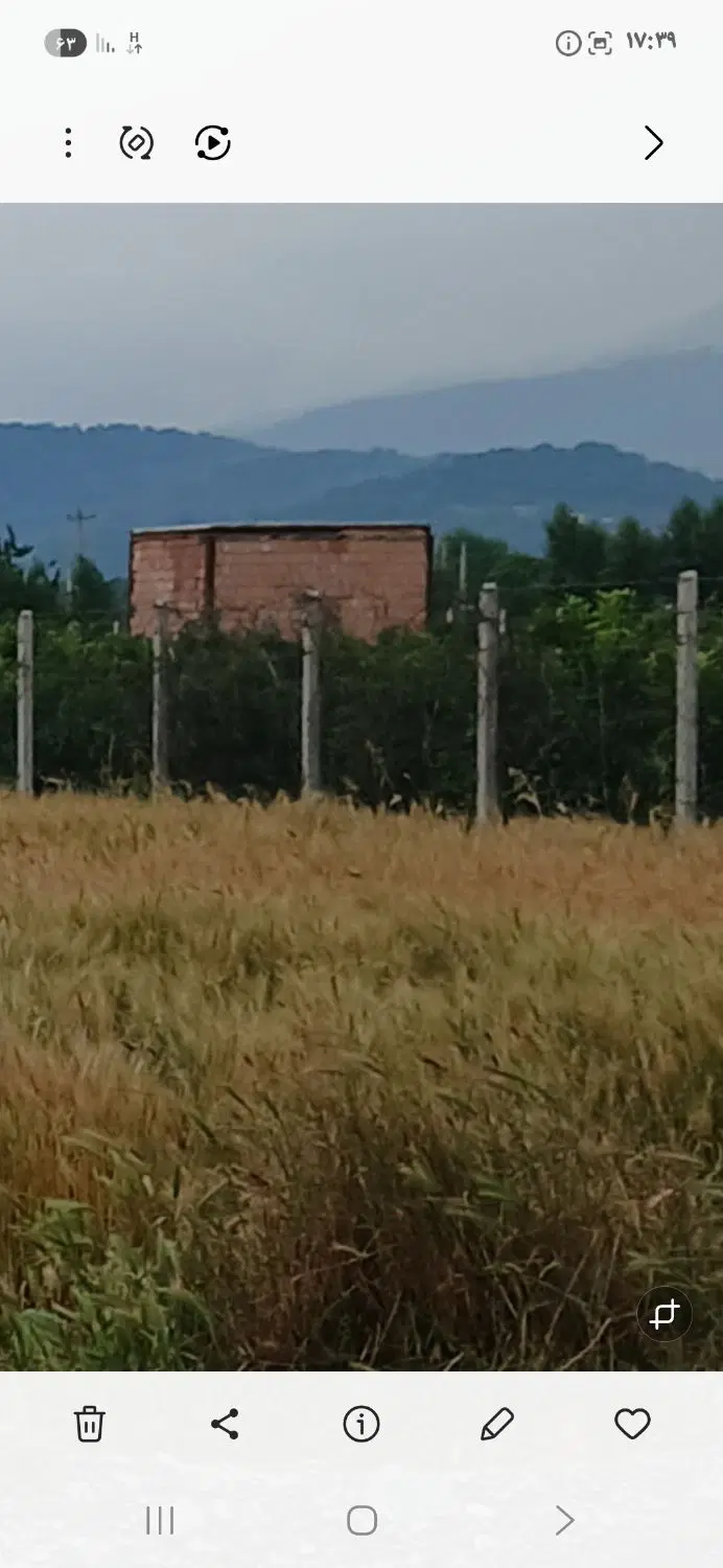 زمین کشاورزی درشمال