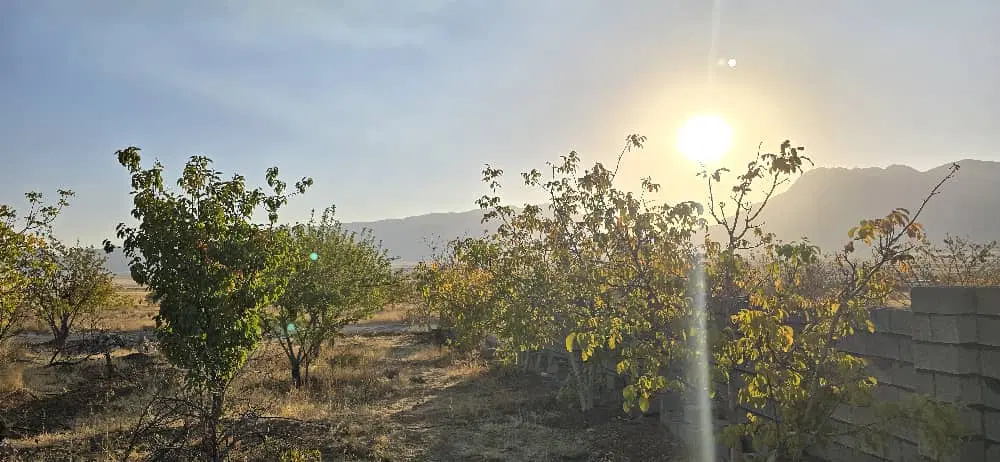فروش زمین باغ. باغچه .دشت ارژن.