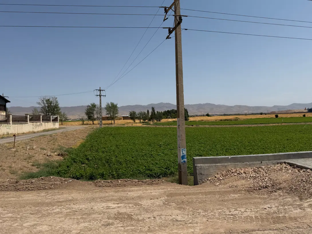 زمین باغی