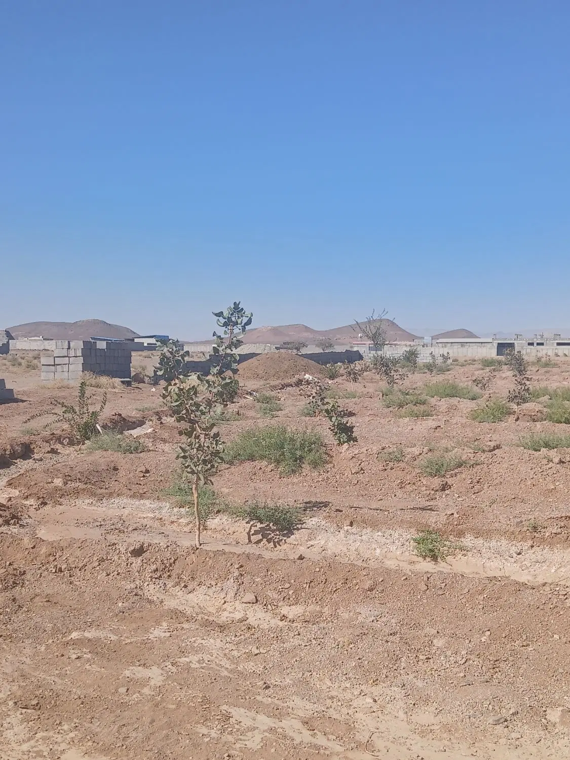 ۳۰۰ متر زمین داخل روستا مسکونی آب برق گاز