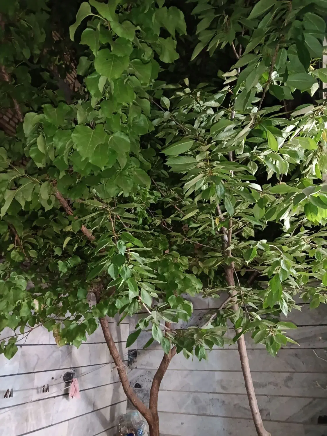 فروش خانه