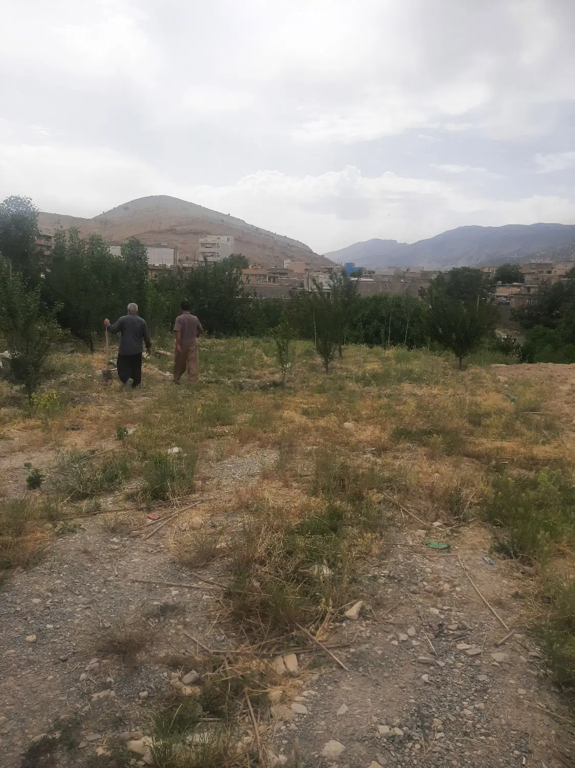 ۳۰۰متر مسکونی وخانه باغی