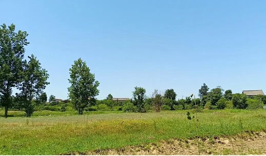 زمین کشاورزی ،باغی