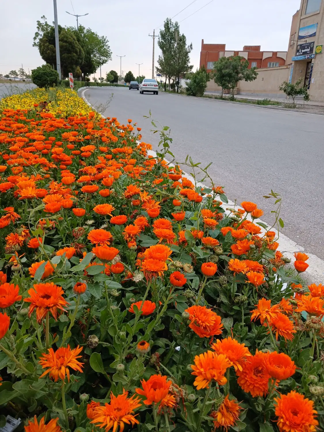 ویلایی دلبازشهرستان گلبهار