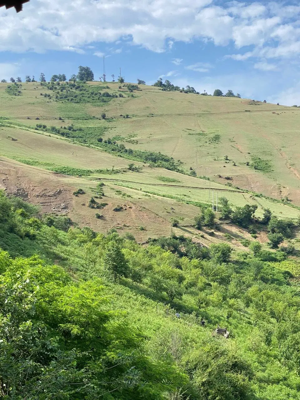 زمین و ملک مسکونی