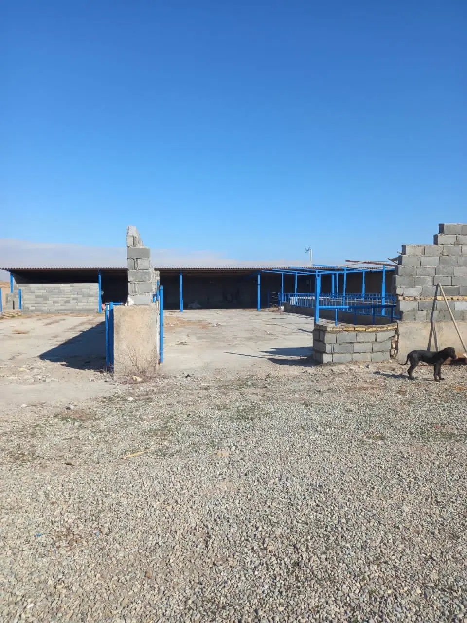 شراکت واجاره دامداری ۶۰۰۰متری فوری فوری