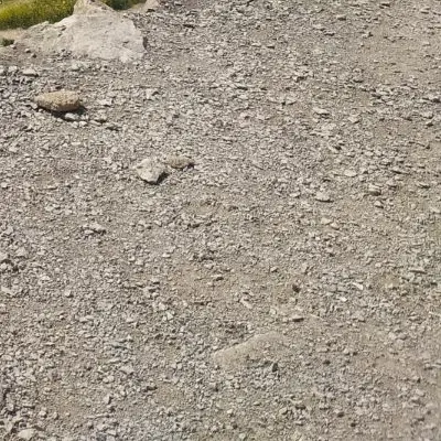 زمین 130متری دریمی