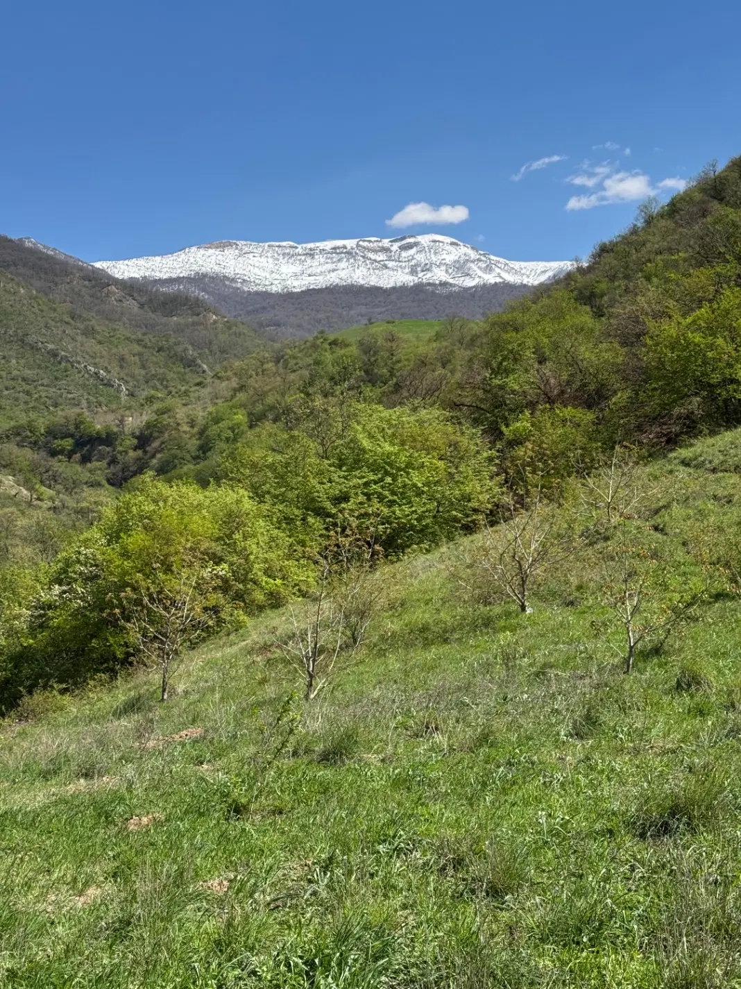 زمین کشاورزی