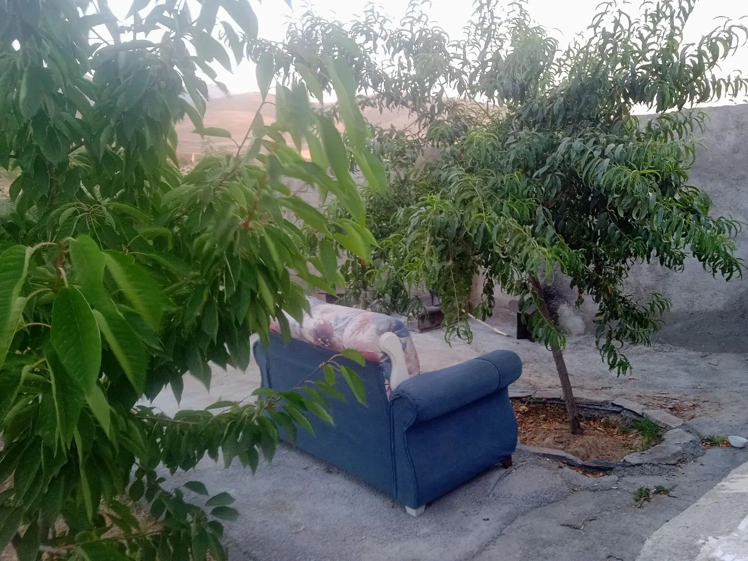 باغ هزار متری محدوده حسین آباد عاشوری