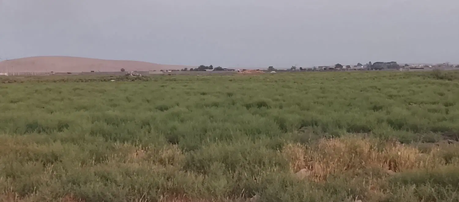 زمین، الیاس آباد