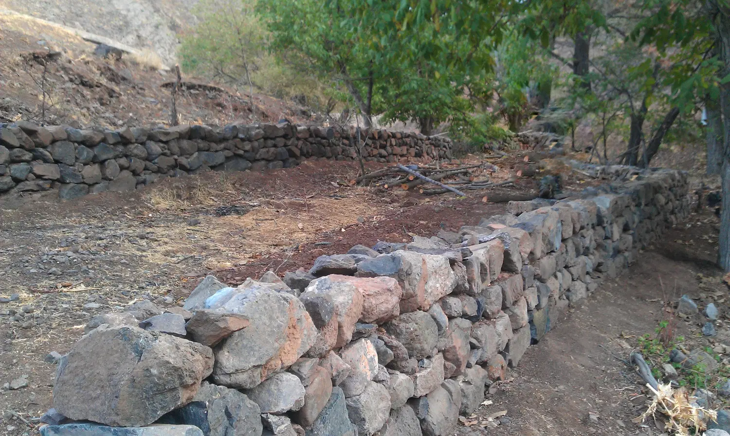 زمین باغی