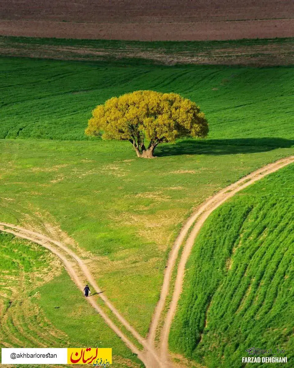 زمین کشاورزی ۳هکتار