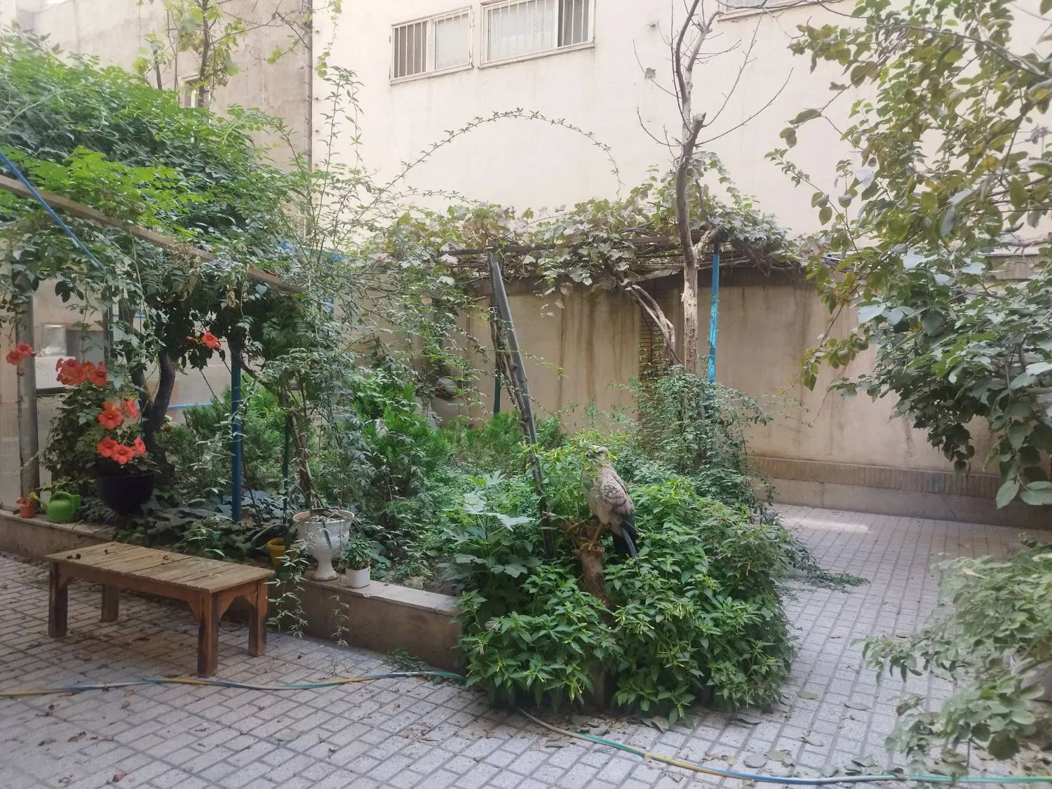 فروش اپارتمان