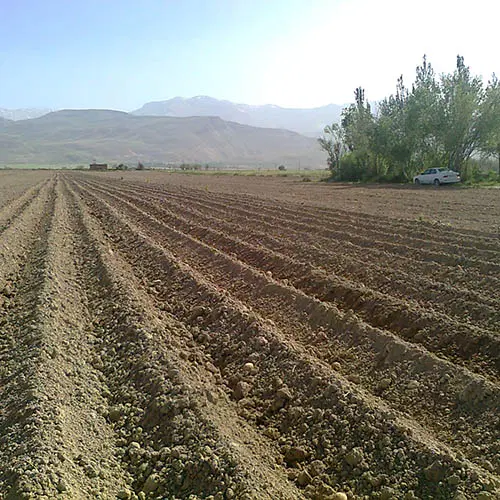 زمین باغی نزدیک شهر