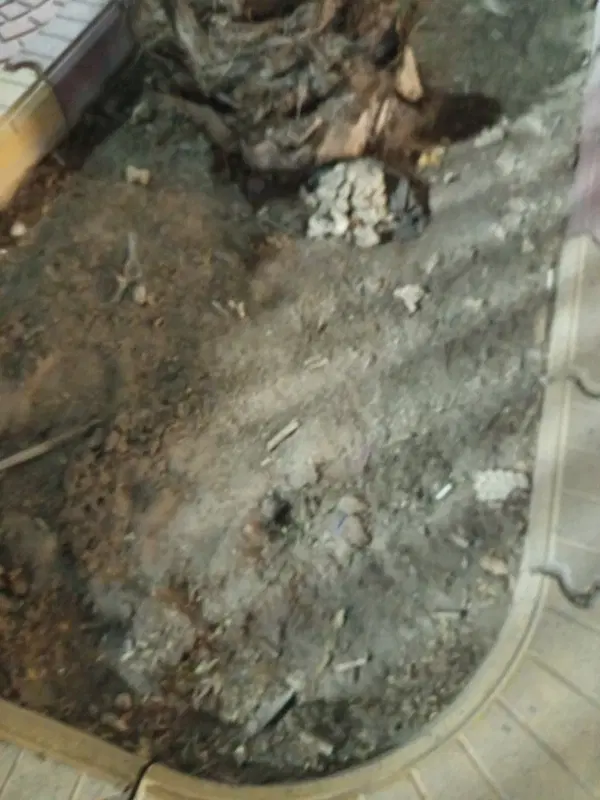 زمین کوی شهدا