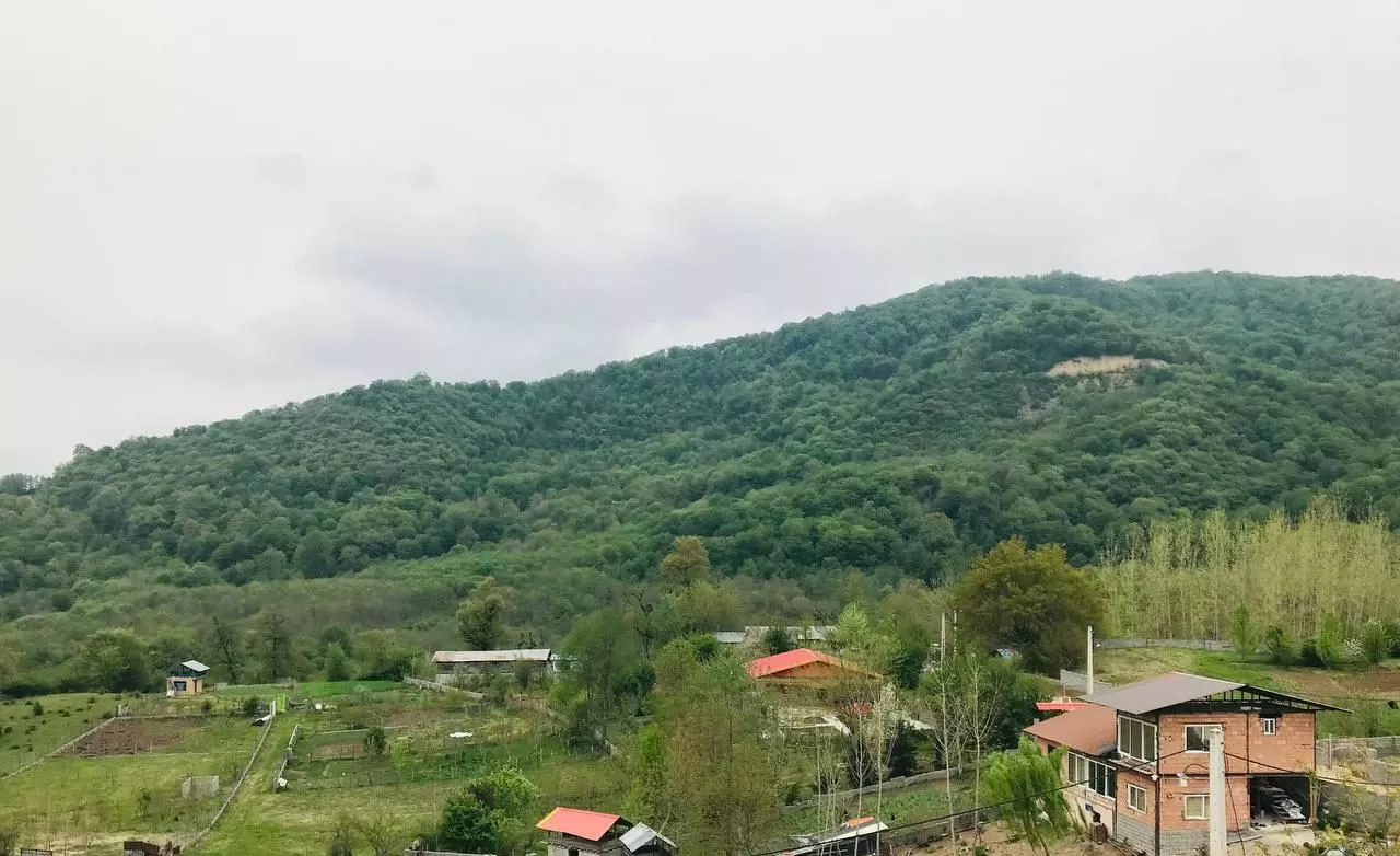 ویلای جنگلی، روف گاردن در لاجیم