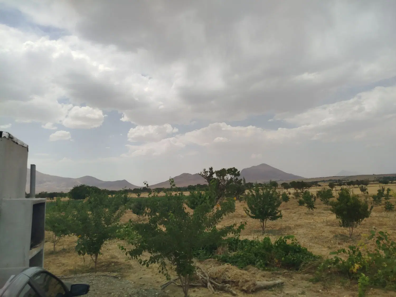 باغ فنس کشی حشمتیه