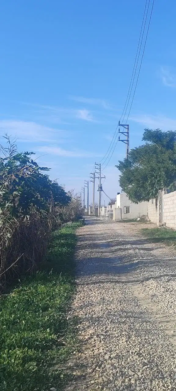باغ سرجاده اصلی شوش دزفول