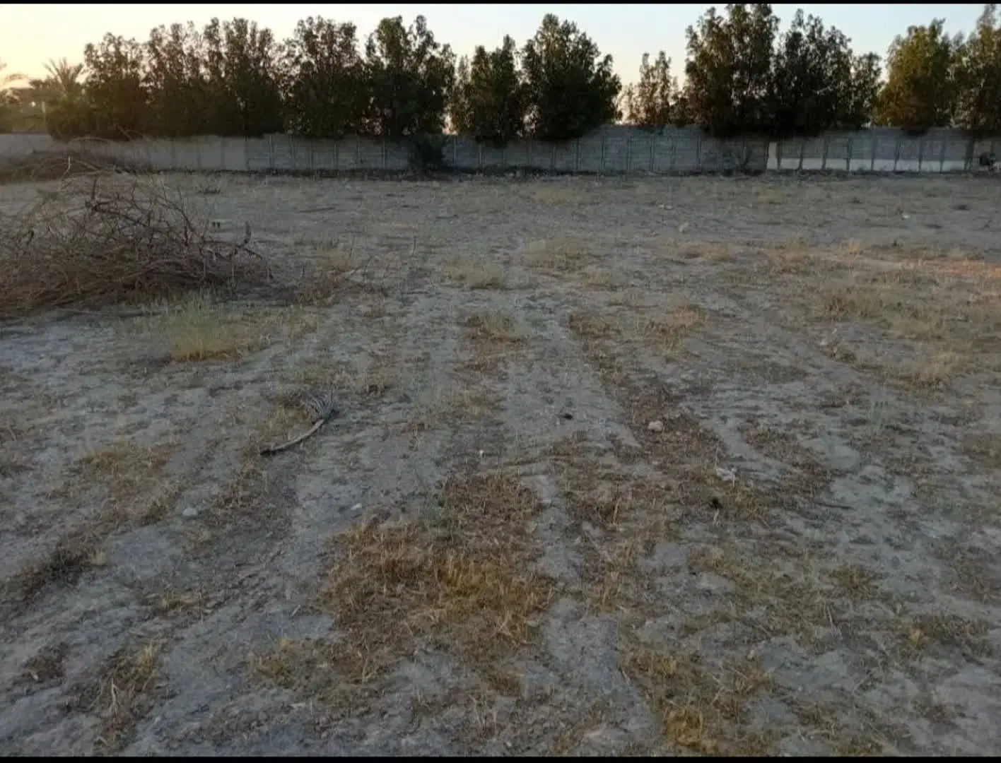 زمین مسکونی در روستای بحیری