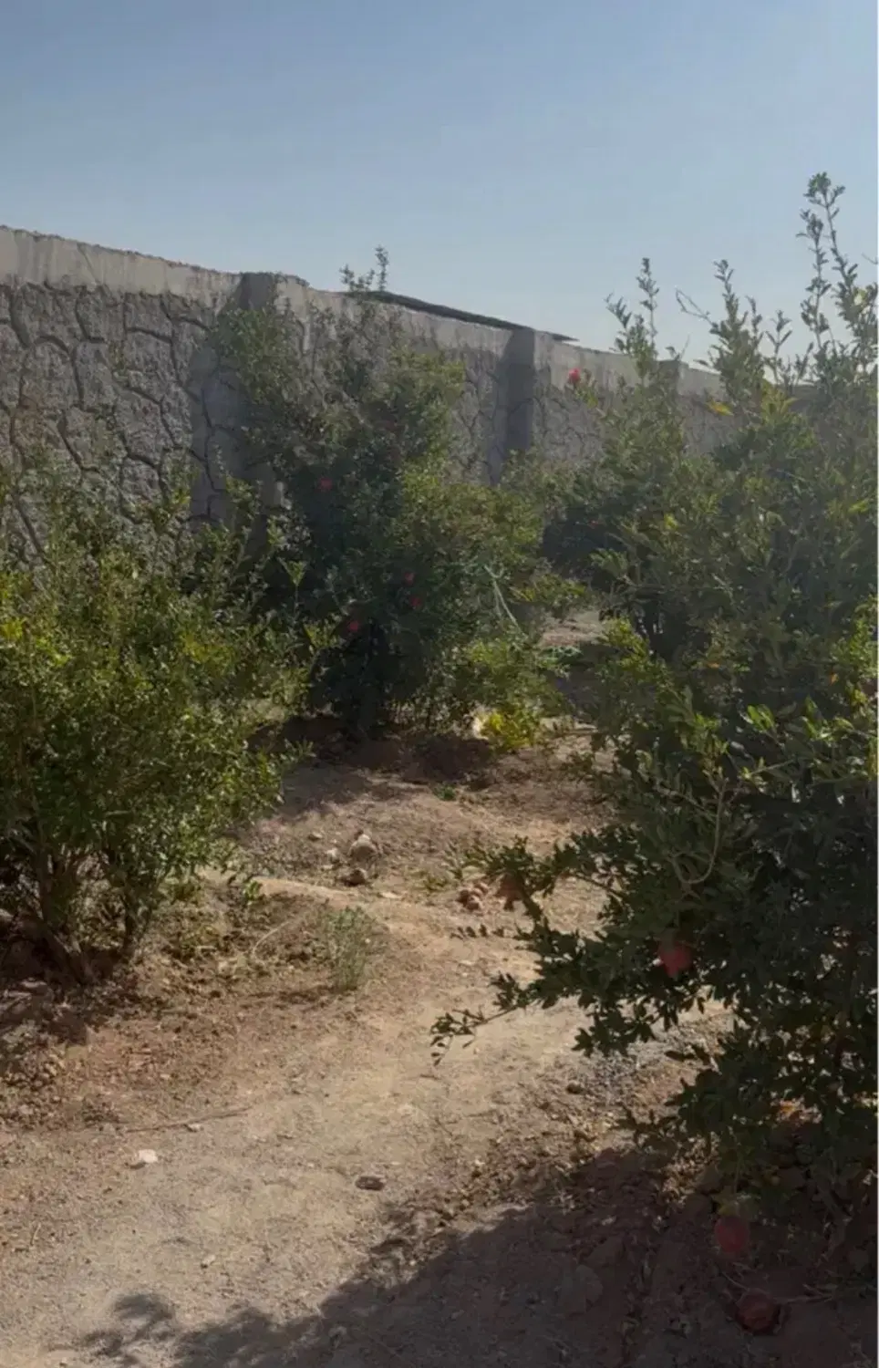 زمین باغی آماده ساخت جهاد آباد