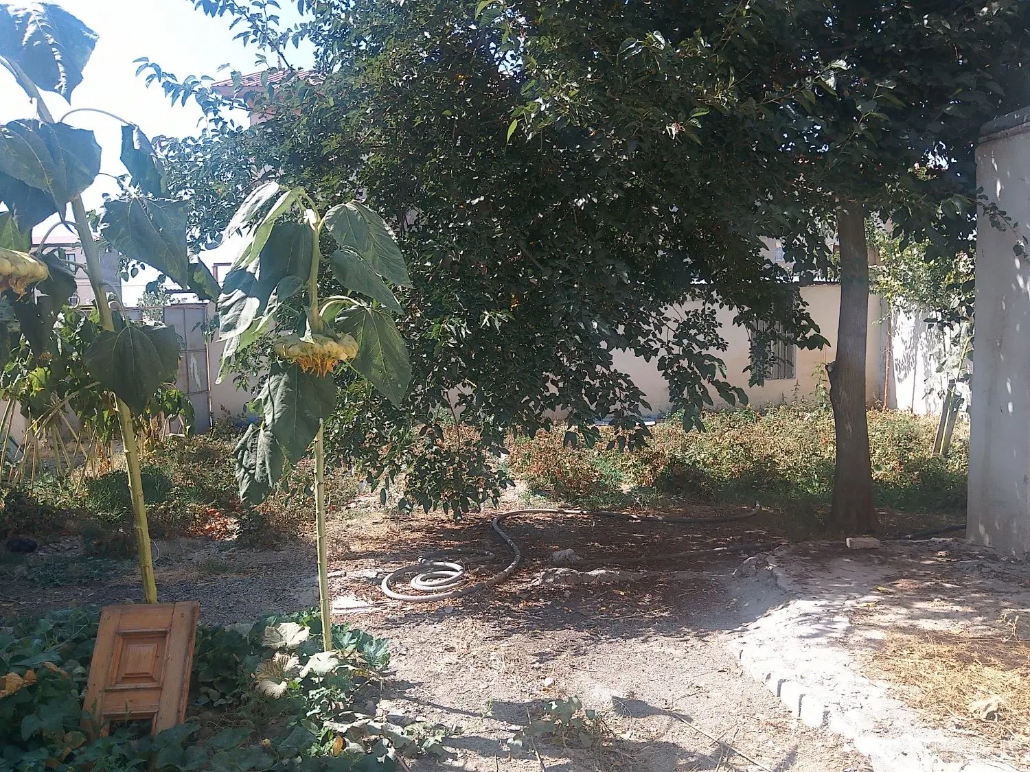 اجاره واحد 55 متری و 85 متری در چشمه