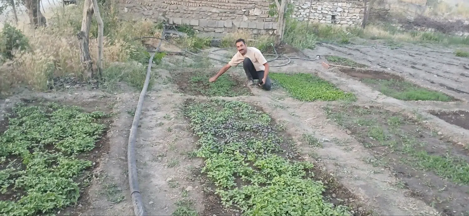 اجاره ساختمان ویلایی بهمراه باغ ۲هزار متری